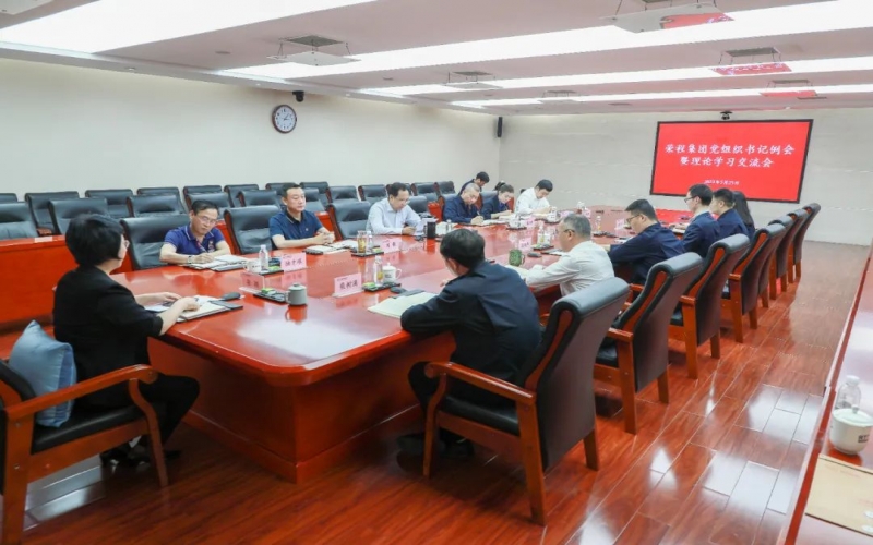 党建引领 凝心聚力 尊龙凯时人生就是搏集团召开党组织书记例会暨理论学习交流会