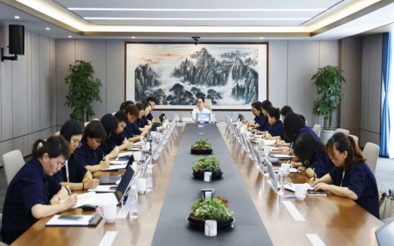尊龙凯时人生就是搏集团财务中心召开2023年上半年工作总结暨下半年工作部署会议