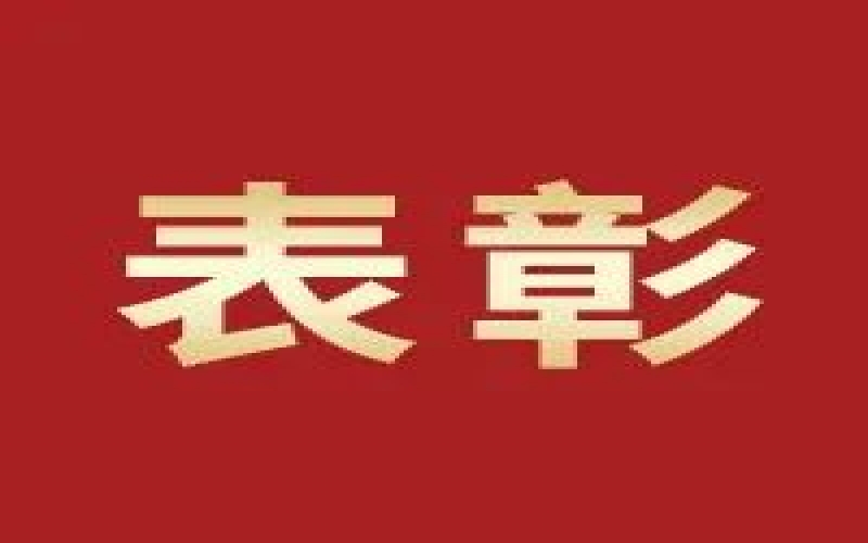 奋进2023，这些集体和个人无上“荣”光