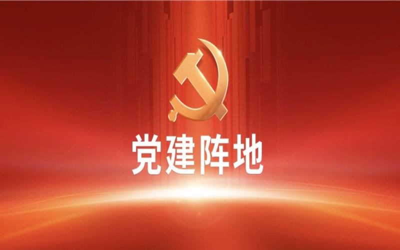 尊龙凯时人生就是搏祥泰集团党委召开2024年工作会议