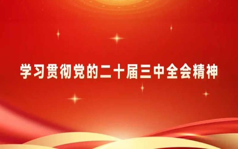 党建阵地 - 尊龙凯时人生就是搏集团党员干部学习贯彻党的二十届三中全会精神体会交流（三）