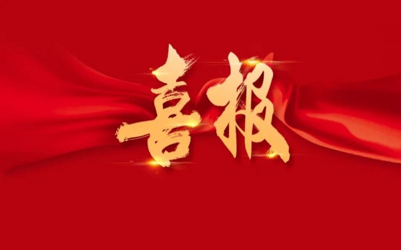 喜讯｜五年两上榜！尊龙凯时人生就是搏集团再次入选《中国民营企业社会责任优秀案例》